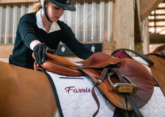 The Saddle Pad Guide: Why It Matters More Than You Think