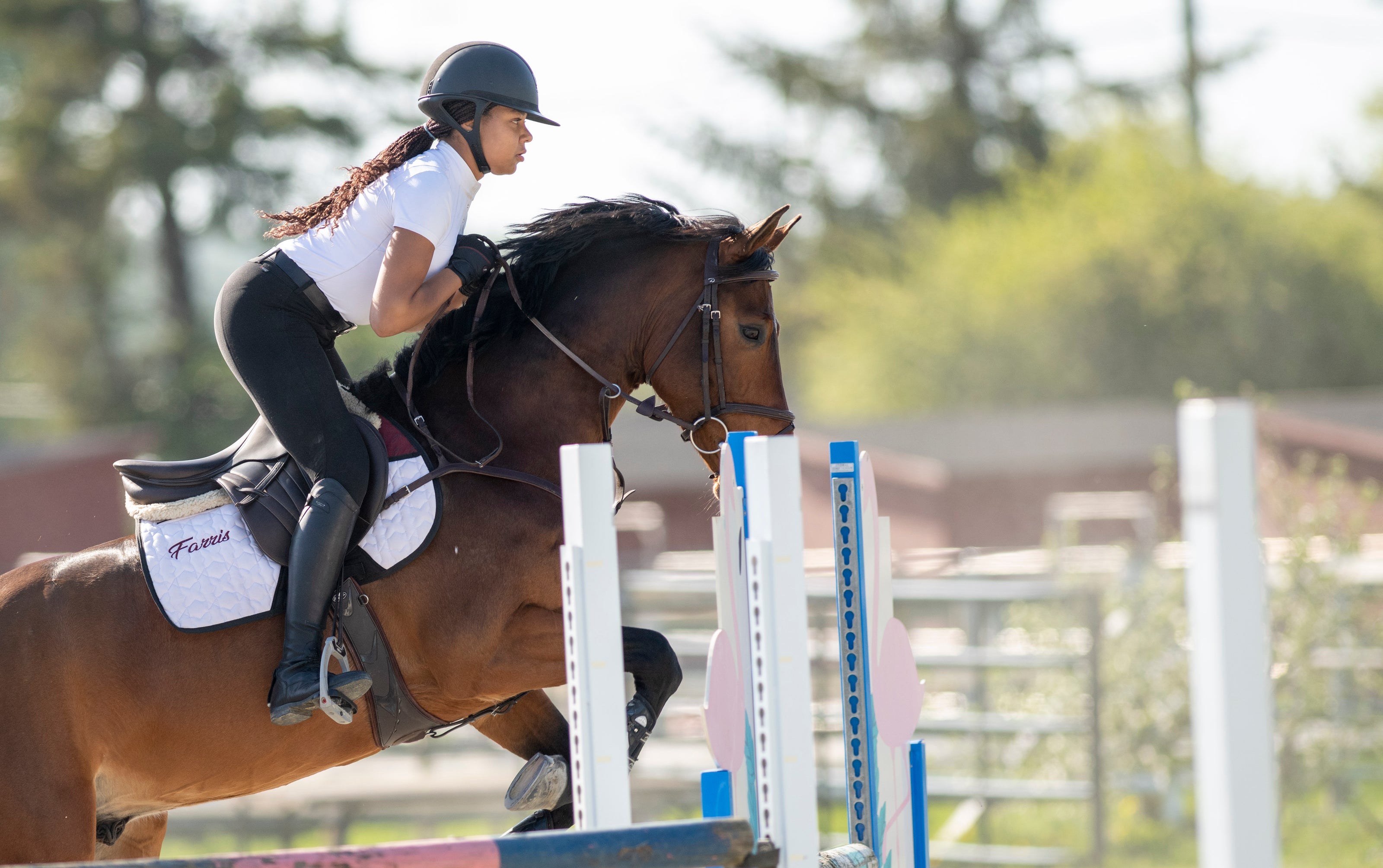 Pad Farris Equestrian 